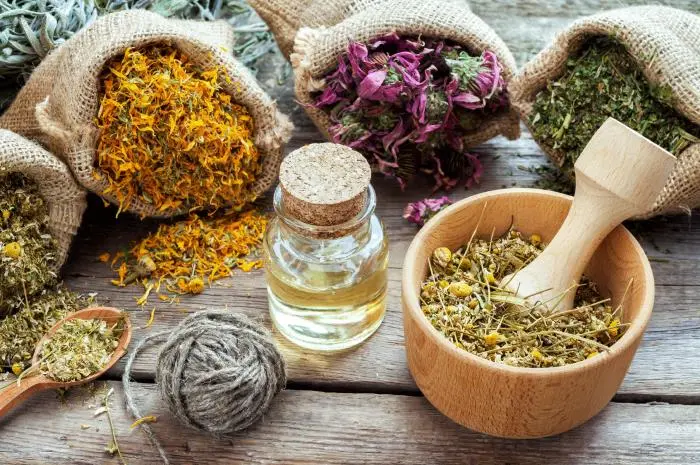 Nature’s Pharmacy, Rediscovering Ancient Herbal Remedies
